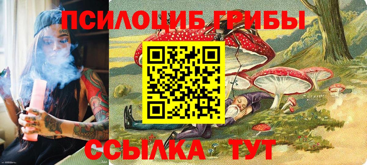 Псилоцибиновые грибы Psilocybe  Вход с VPN  Кемерово  Галлюциногенные грибы Psilocybe 